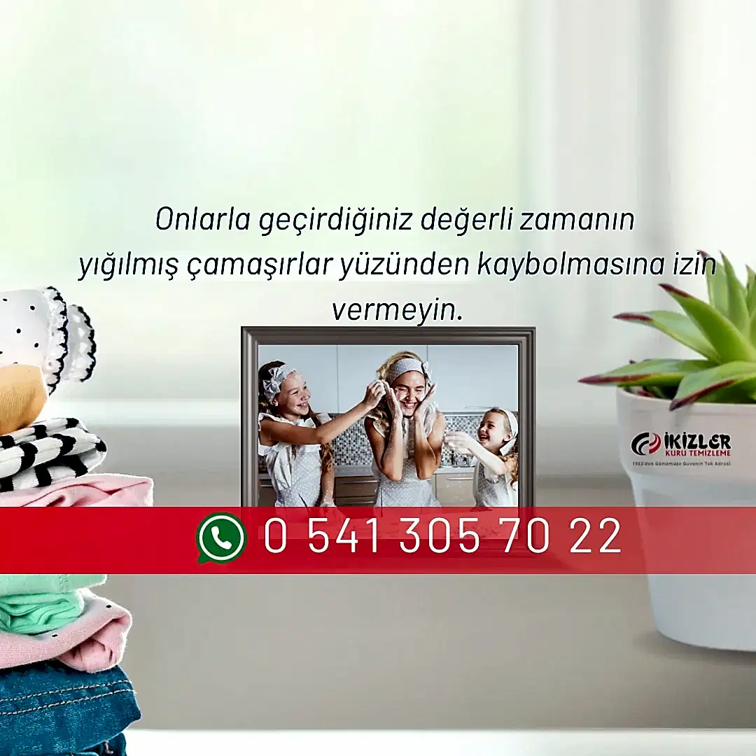 Ankara Leke Çıkarma